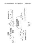 Circular DNA vectors for synthesis of RNA and DNA diagram and image