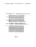 Circular DNA vectors for synthesis of RNA and DNA diagram and image