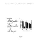 Circular DNA vectors for synthesis of RNA and DNA diagram and image