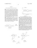 Circular DNA vectors for synthesis of RNA and DNA diagram and image