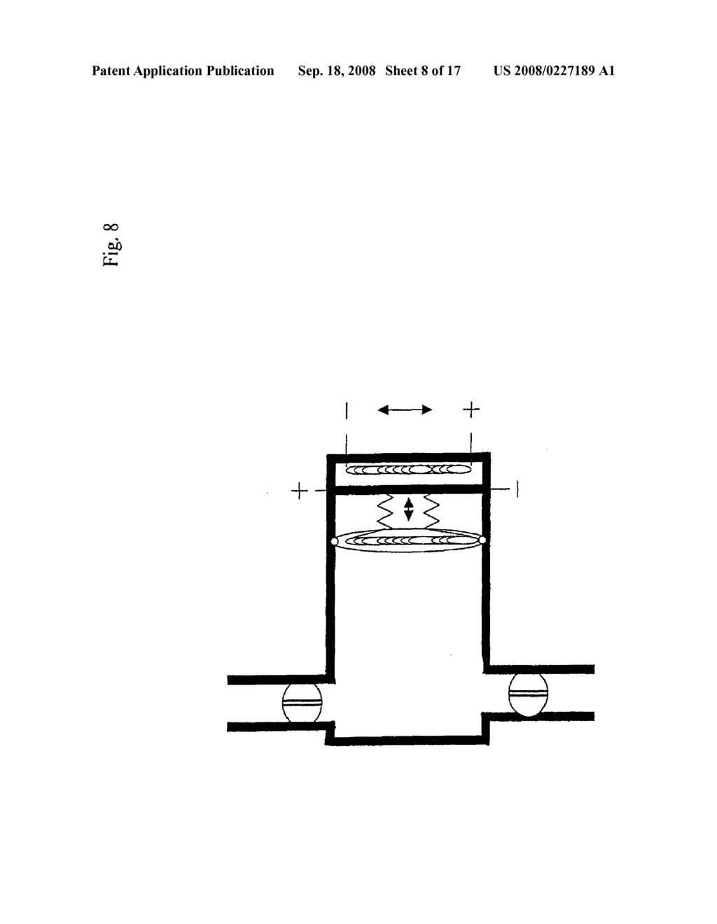 Device for Pressurized Perfusion Especially for Culturing and/or Treating Cells - diagram, schematic, and image 09