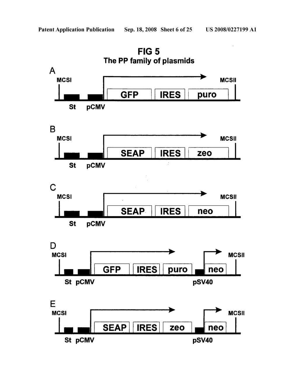 Method for simultaneous production of multiple proteins; vectors and cells for use therein - diagram, schematic, and image 07