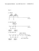 Network game system, game apparatus, storage medium storing program, and game controlling method diagram and image