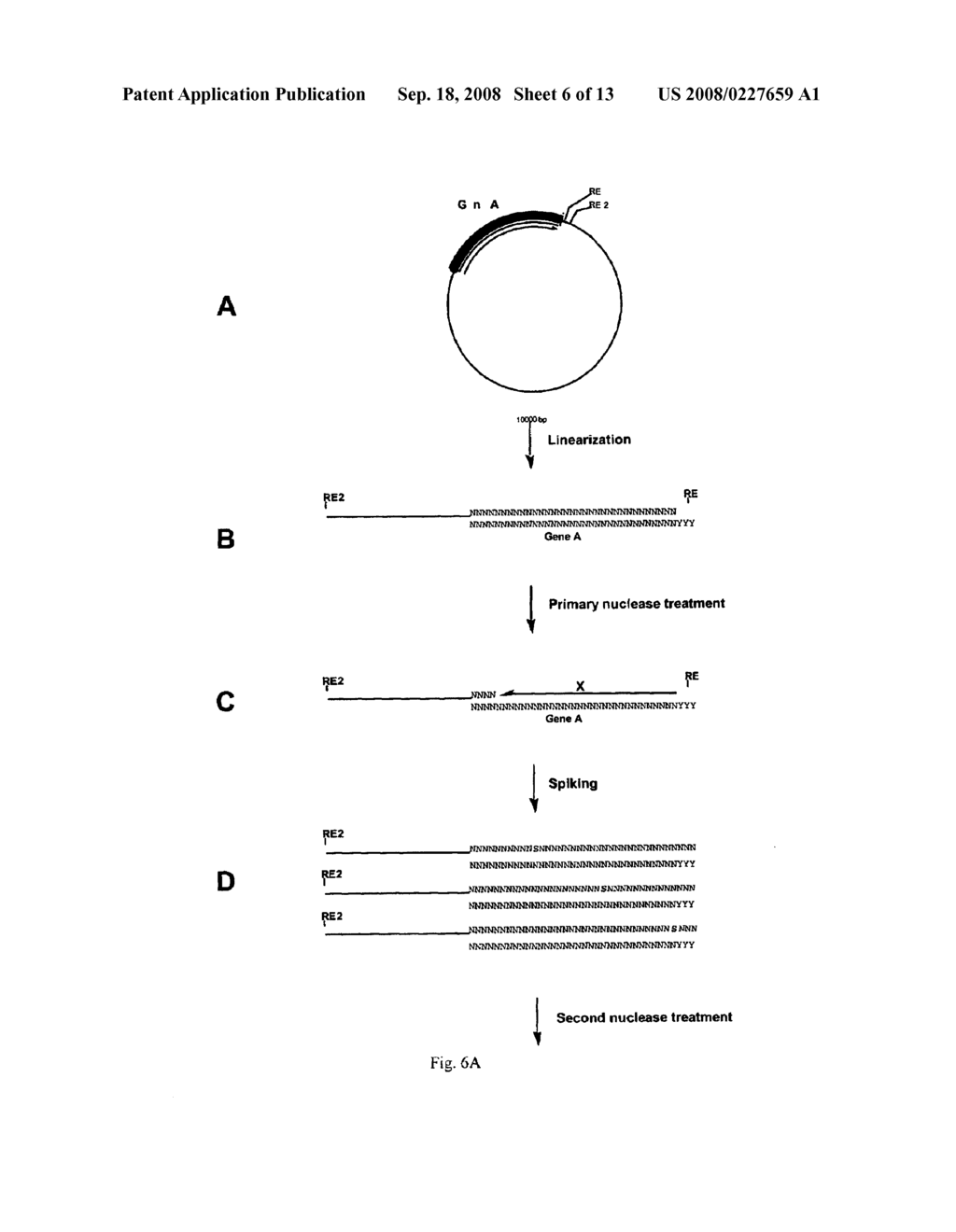 Incrementally Truncated Nucleic Acids and Methods of Making Same - diagram, schematic, and image 07