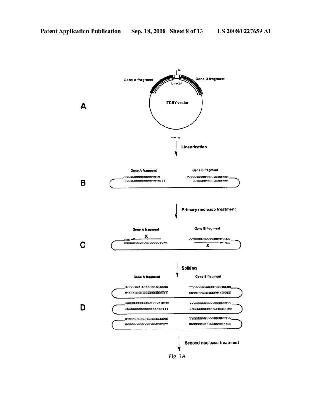 Incrementally Truncated Nucleic Acids and Methods of Making Same - diagram, schematic, and image 09