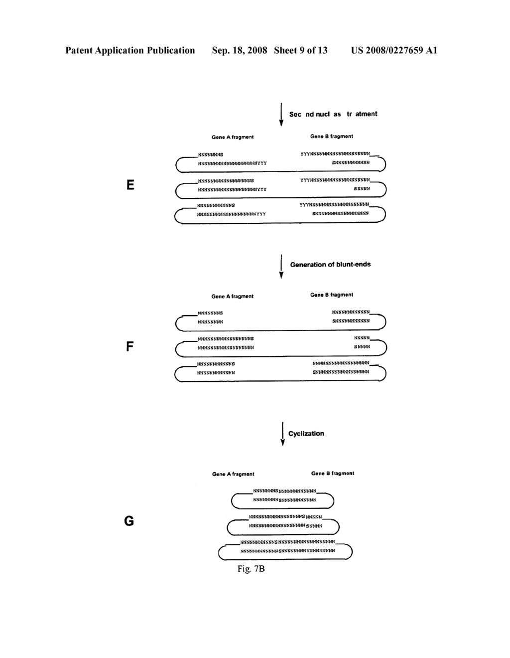 Incrementally Truncated Nucleic Acids and Methods of Making Same - diagram, schematic, and image 10