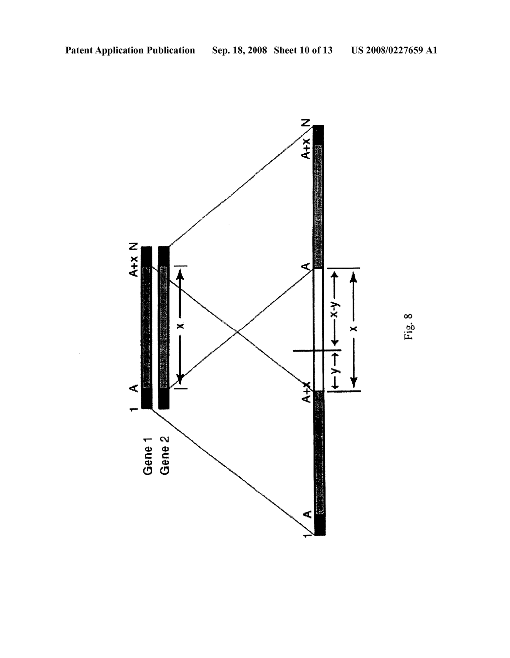 Incrementally Truncated Nucleic Acids and Methods of Making Same - diagram, schematic, and image 11