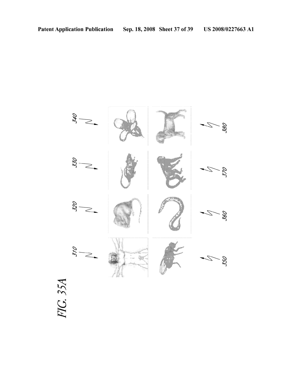 SYSTEMS AND METHODS FOR HIGH SPEED ARRAY PRINTING AND HYBRIDIZATION - diagram, schematic, and image 38