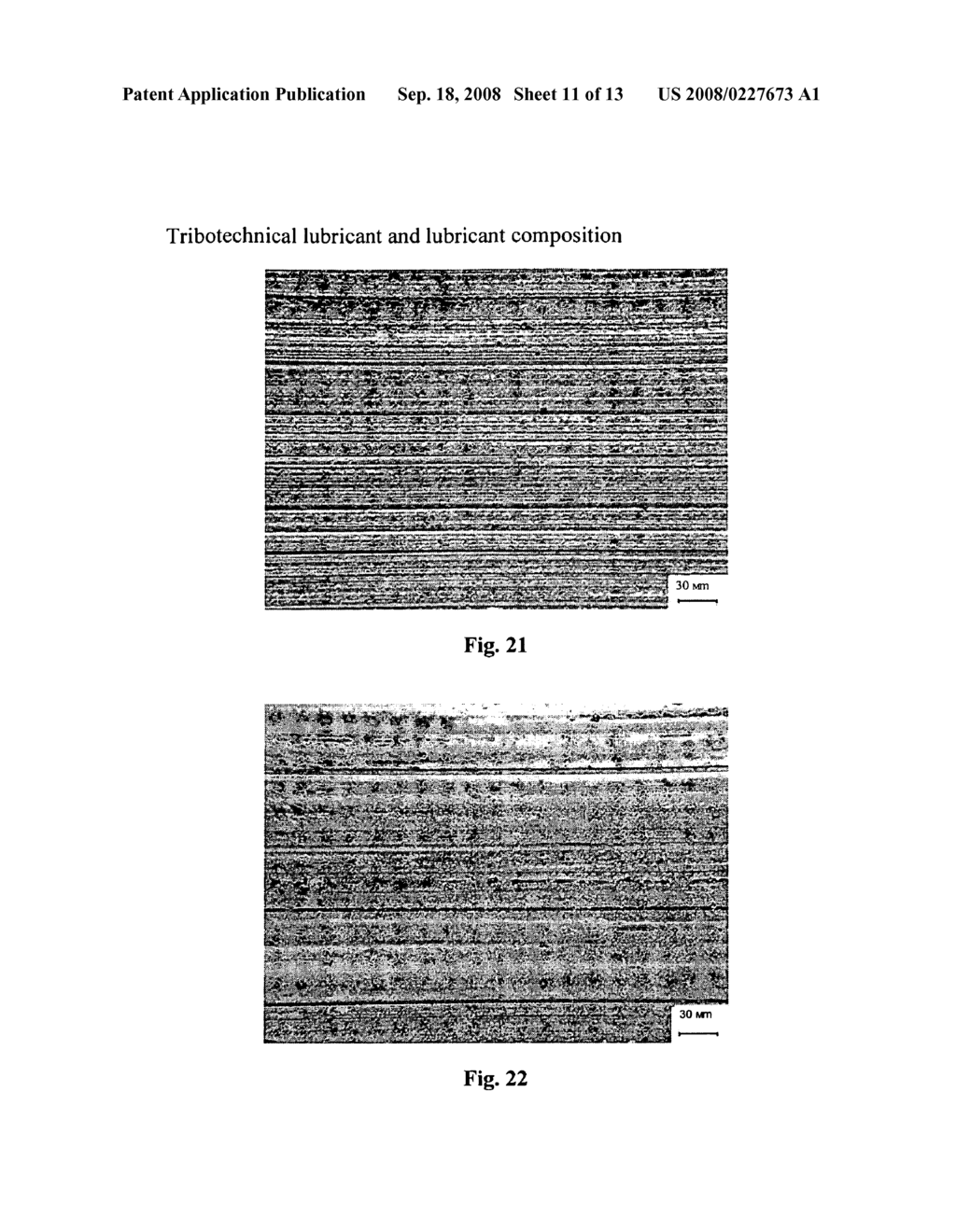 Tribotechnical Lubricant and Lubricant Composition - diagram, schematic, and image 12