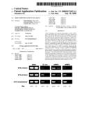 Sfrp Expression Enhancing Agent diagram and image