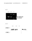 Sfrp Expression Enhancing Agent diagram and image