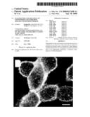 OLIGOPEPTIDES FOR TREATMENT OF OSTEOPOROSIS AND OTHER BONE DISEASES AND METHODS THEREOF diagram and image