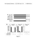 OLIGOPEPTIDES FOR TREATMENT OF OSTEOPOROSIS AND OTHER BONE DISEASES AND METHODS THEREOF diagram and image