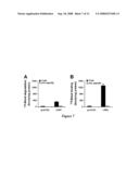 OLIGOPEPTIDES FOR TREATMENT OF OSTEOPOROSIS AND OTHER BONE DISEASES AND METHODS THEREOF diagram and image