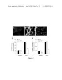 OLIGOPEPTIDES FOR TREATMENT OF OSTEOPOROSIS AND OTHER BONE DISEASES AND METHODS THEREOF diagram and image