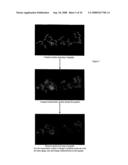 Compositions and Methods for Treatment of Protein Misfolding and Protein Aggregation Diseases diagram and image