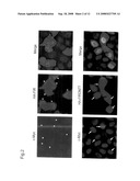 Apoptosis-inducing agent and method for inducing apoptosis diagram and image