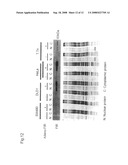 Apoptosis-inducing agent and method for inducing apoptosis diagram and image