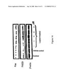 LUPEOL ANTI-TUMOR AGENT AND USES THEREOF diagram and image