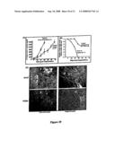 LUPEOL ANTI-TUMOR AGENT AND USES THEREOF diagram and image