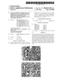 Tetrafluorobenzyl derivatives and pharmaceutical composition for preventing and treating acute and chronic neurodegenerative diseases in central nervous system containing the same diagram and image