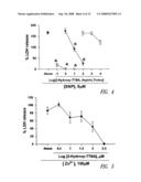 Tetrafluorobenzyl derivatives and pharmaceutical composition for preventing and treating acute and chronic neurodegenerative diseases in central nervous system containing the same diagram and image