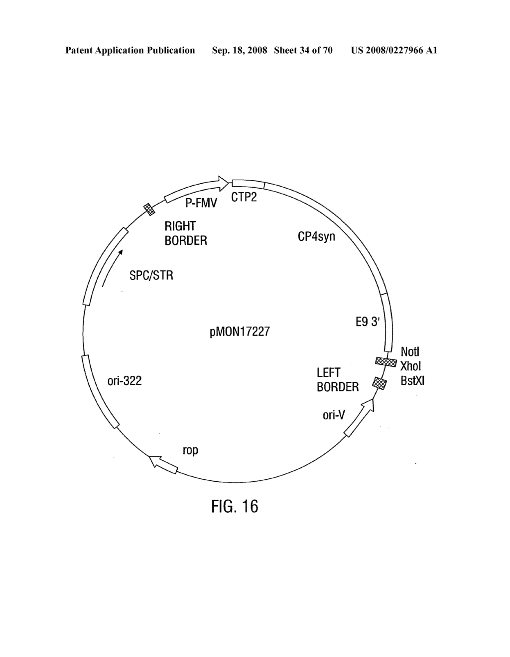 Glyphosate-tolerant 5-enolpyruvylshikimate-3-phosphate synthases - diagram, schematic, and image 35