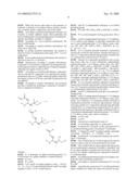 PROCESS FOR SYNTHESIZING ASPARTIC AND GLUTAMIC ACID DERIVATIVES ESPECIALLY USEFUL AS INTERMEDIATES IN THE MANUFACTURE OF A CASPASE INHIBITOR diagram and image