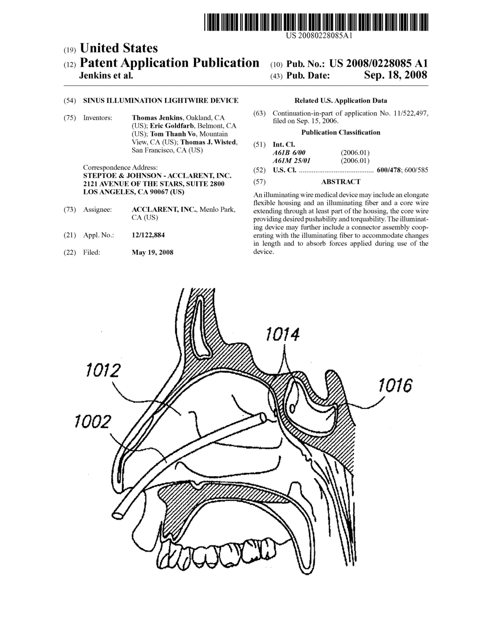 SINUS ILLUMINATION LIGHTWIRE DEVICE - diagram, schematic, and image 01