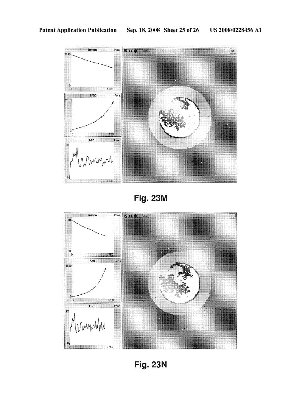 MODELING WOUND HEALING - diagram, schematic, and image 26