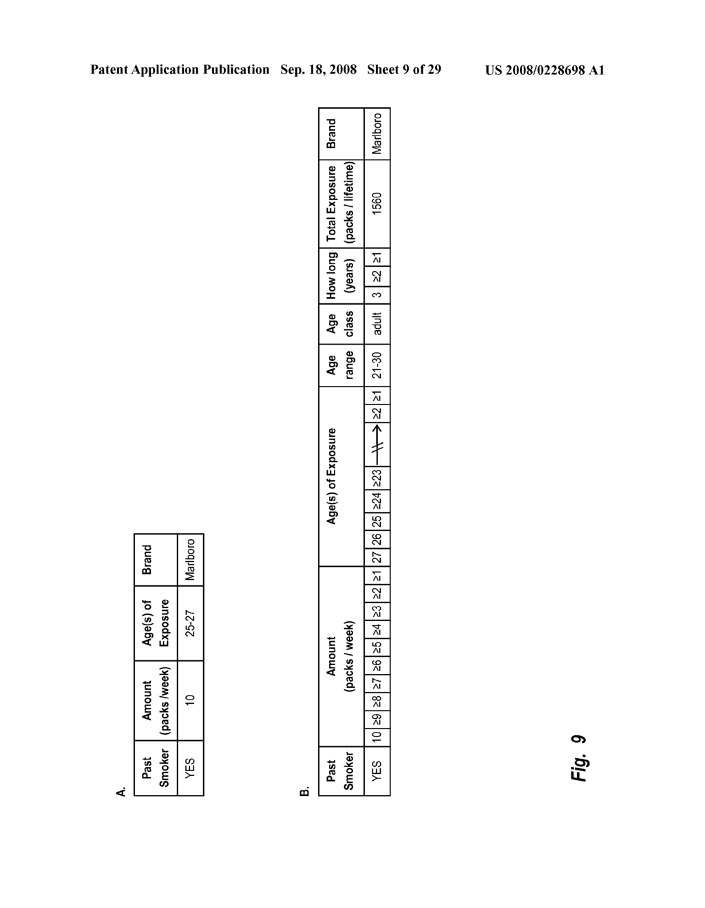 Creation of Attribute Combination Databases - diagram, schematic, and image 10