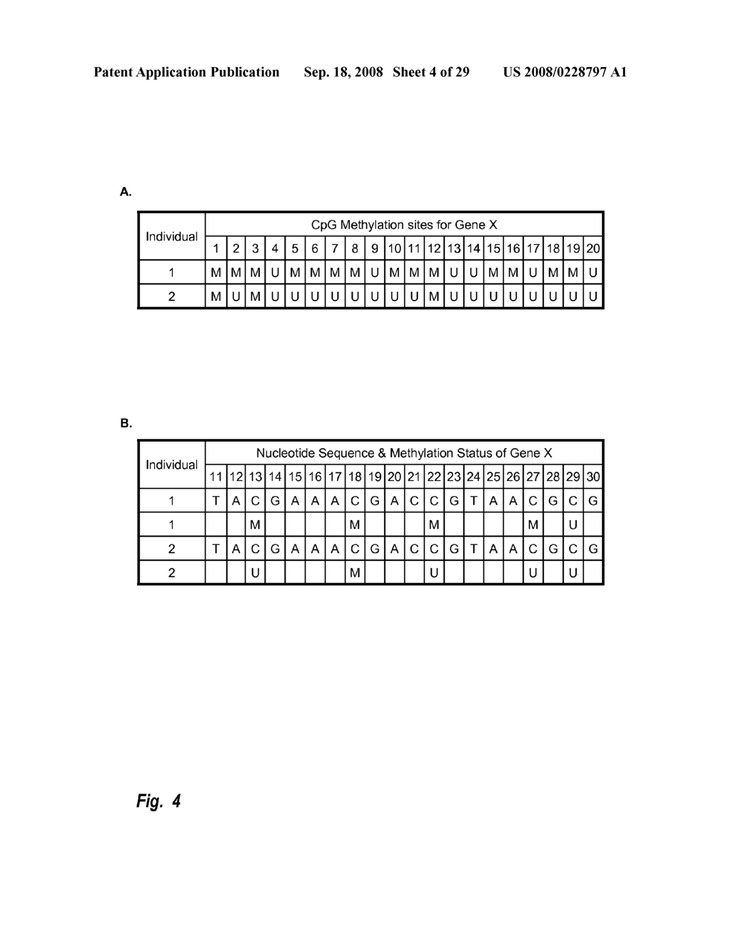 Creation of Attribute Combination Databases Using Expanded Attribute Profiles - diagram, schematic, and image 05