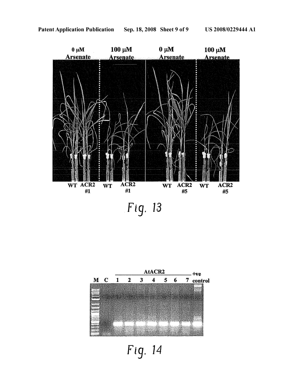 METAL RESISTANT PLANTS, METHODS OF MANUFACTURE, AND METHODS OF USE THEREOF - diagram, schematic, and image 10