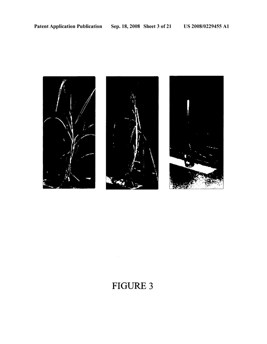 Altered metabolism - diagram, schematic, and image 04