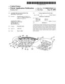 Antislip tread and method for providing said tread diagram and image