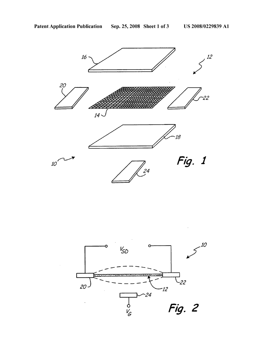 SENSOR WITH COMPOSITE DIAPHRAGM CONTAINING CARBON NANOTUBES OR SEMICONDUCTING NANOWIRES - diagram, schematic, and image 02