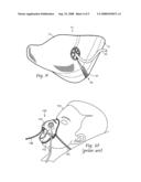 Naso-gastric mask and method diagram and image