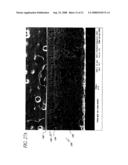 GRIP HAVING A STABILIZED GRIPPING SURFACE diagram and image