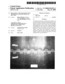 BELT HAVING A NON-LINEAR SEAM AND A METHOD OF ON-MACHINE JOINING OF BELT ENDS diagram and image