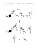 Rapid Homogeneous Immunoassay Using Electrophoresis diagram and image