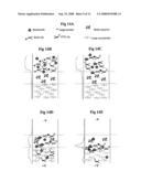 Rapid Homogeneous Immunoassay Using Electrophoresis diagram and image