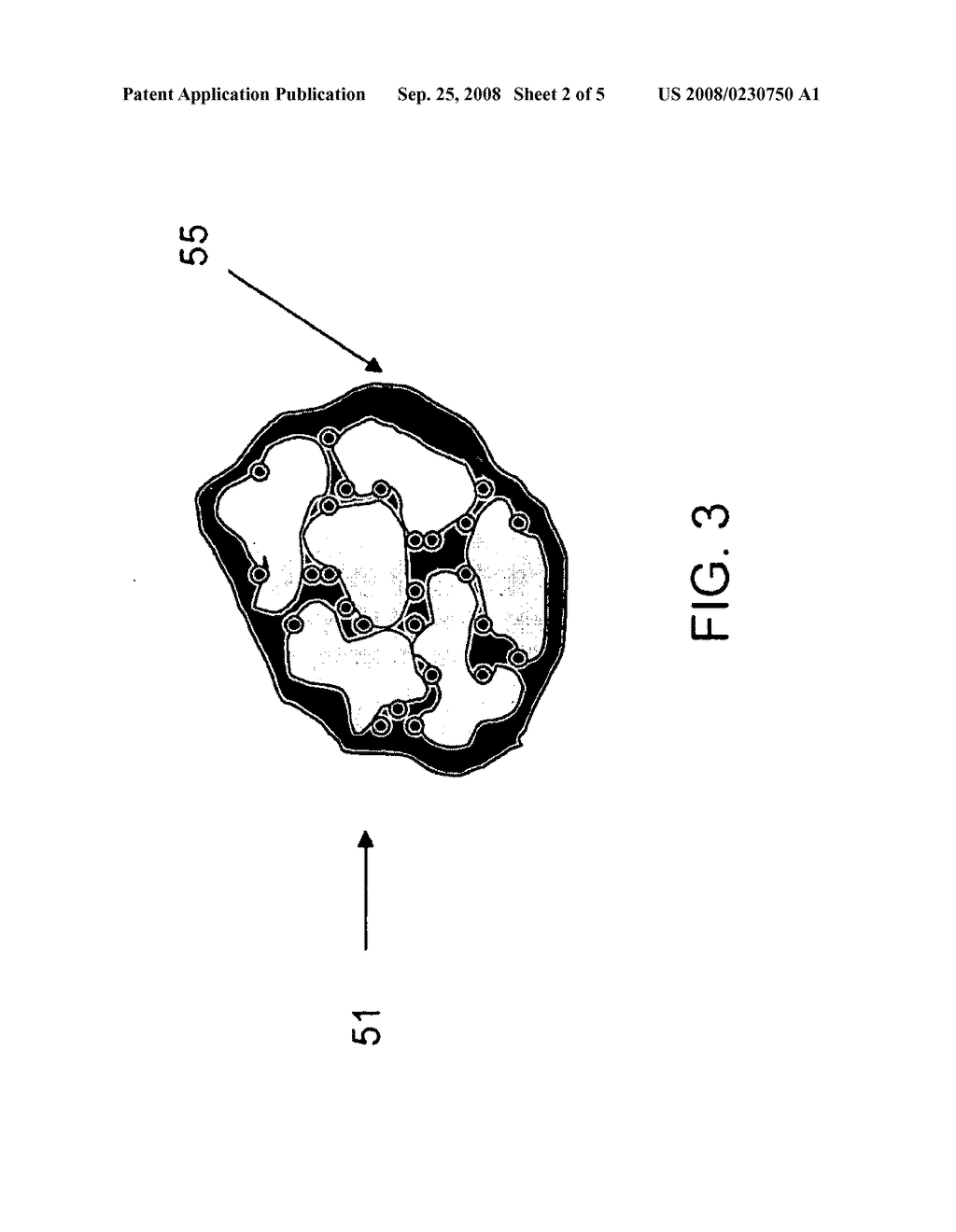 POWDERED QUANTUM DOTS - diagram, schematic, and image 03