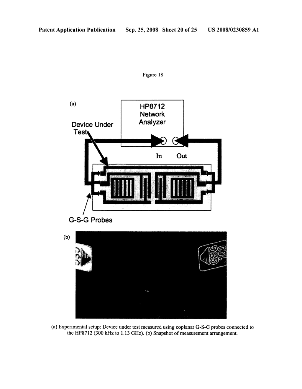 SAW DEVICES, PROCESSES FOR MAKING THEM, AND METHODS OF USE - diagram, schematic, and image 21