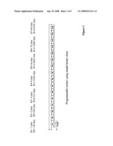 Resistor Network and Variable Resistor Simulator diagram and image