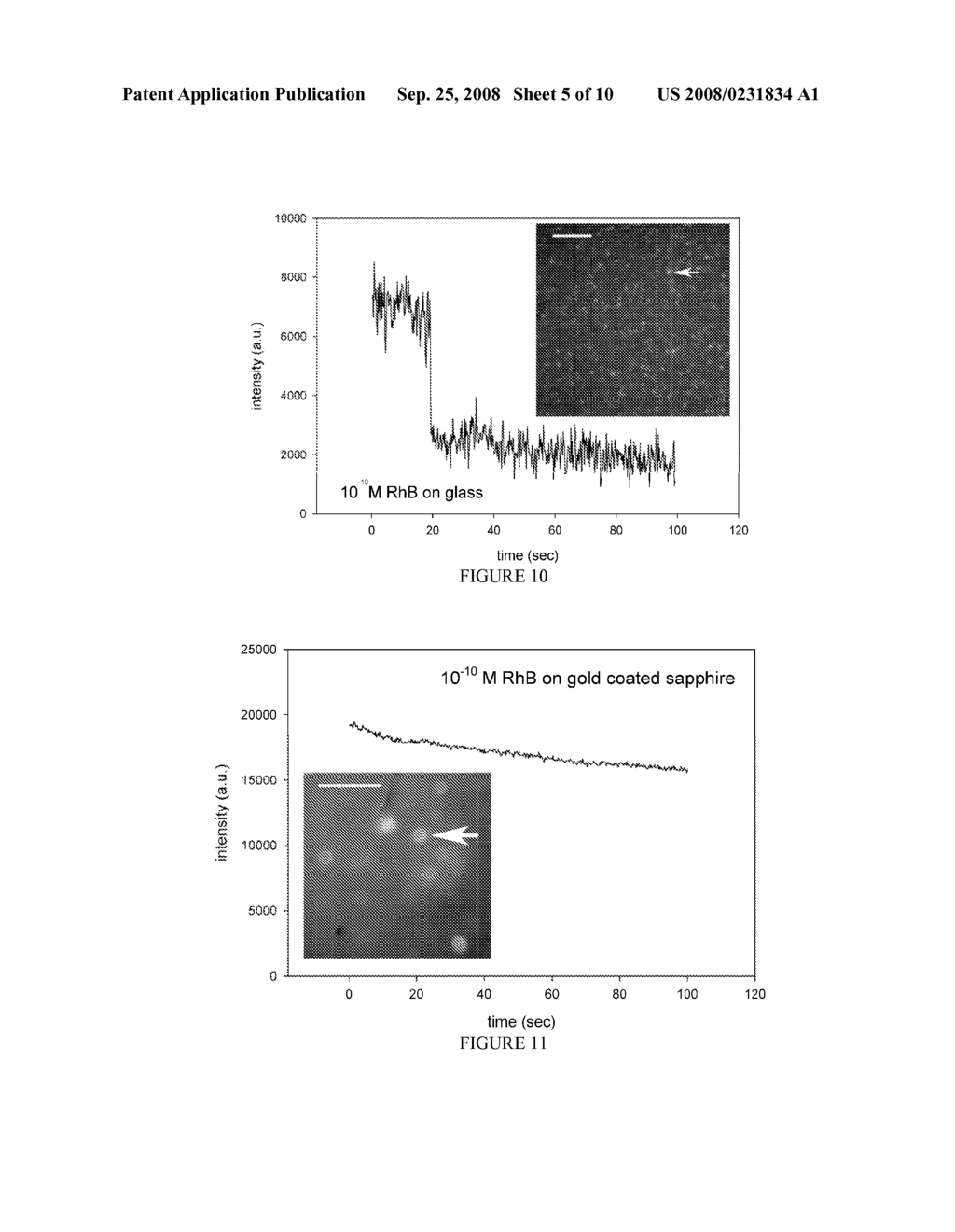 SURFACE PLASMON ASSISTED MICROSCOPE - diagram, schematic, and image 06