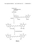 Diagnostic and therapeutic optical agents diagram and image