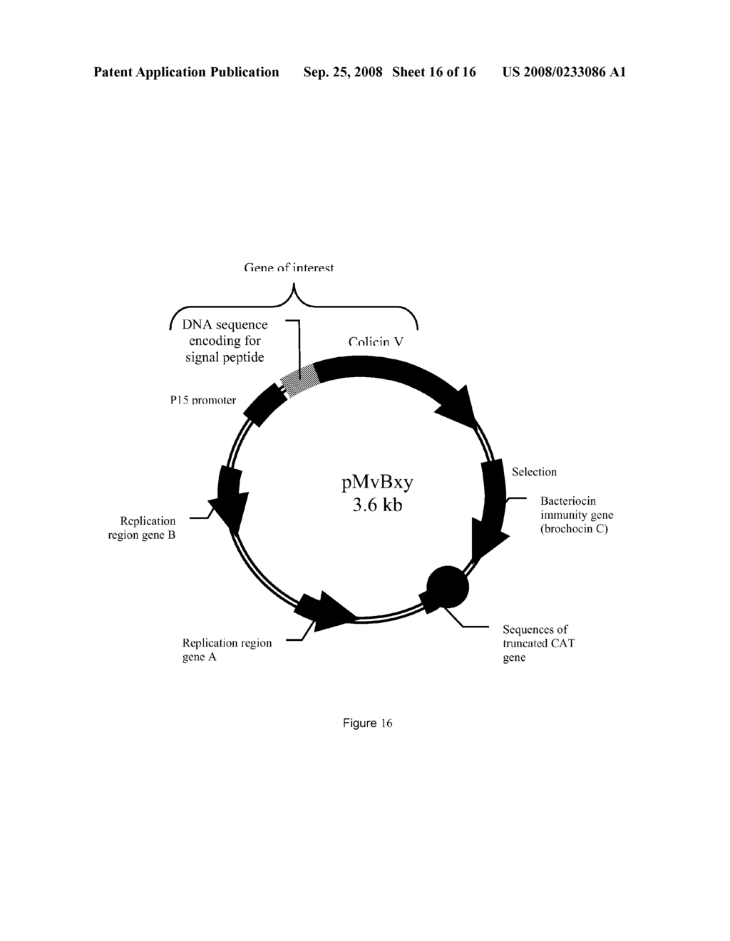 Expression Vectors for Treating Bacterial Infections - diagram, schematic, and image 17