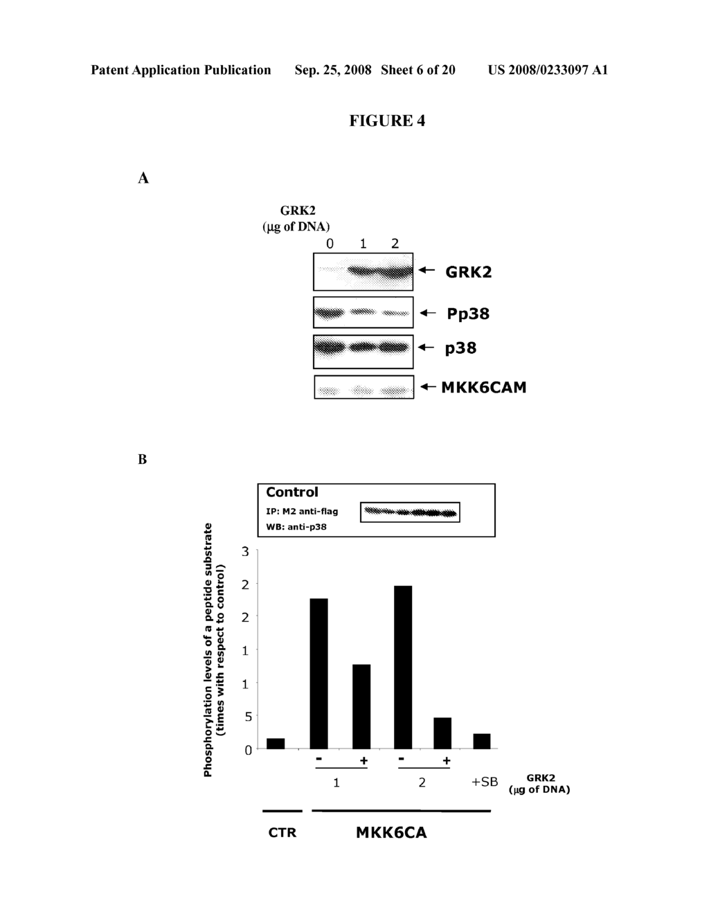 Phosphorylation Site Of Mitogen-Activated Protein Kinases, Modified Proteins And Applications - diagram, schematic, and image 07