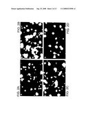 RHO Family Antagonists and Their Use to Block Inhibition of Neurite Outgrowth diagram and image