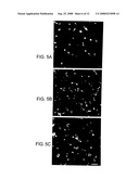 RHO Family Antagonists and Their Use to Block Inhibition of Neurite Outgrowth diagram and image